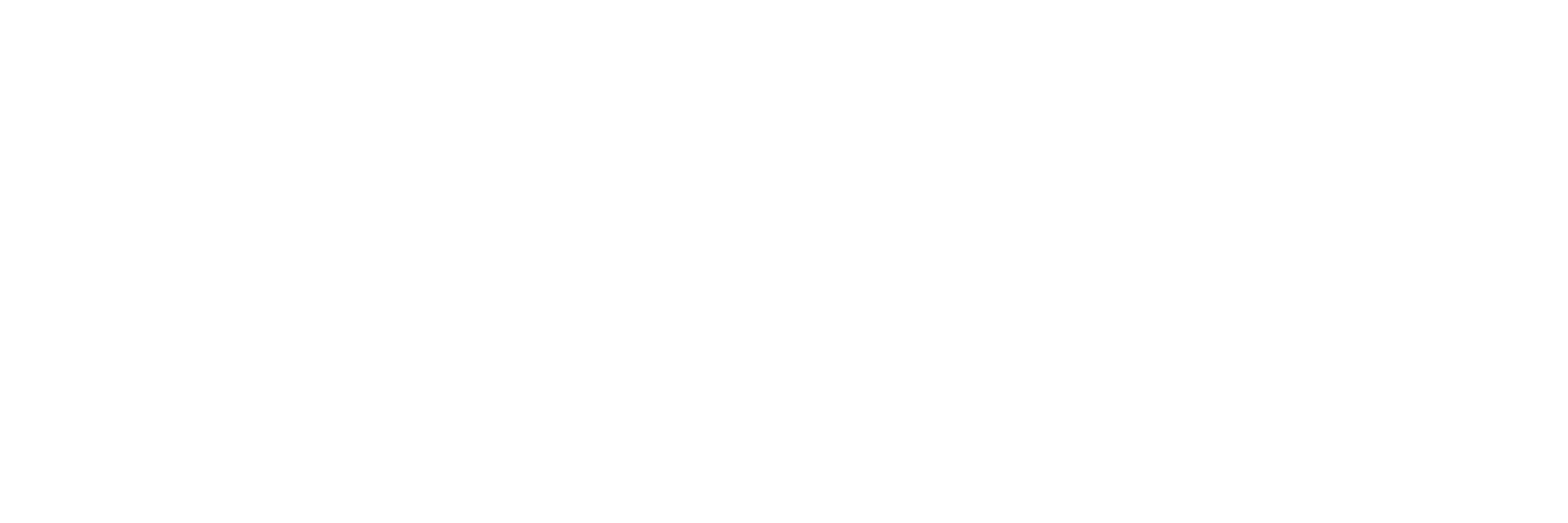 Ireland Votes